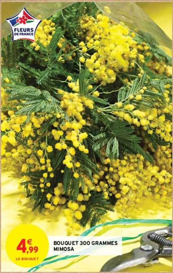 bouquet 300 grammes mimosa
