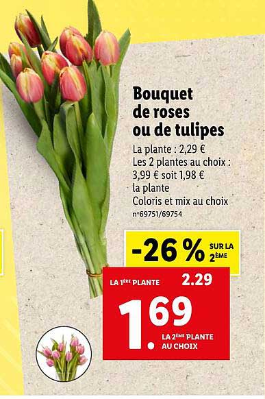 Bouquet De Roses Ou De Tulipes