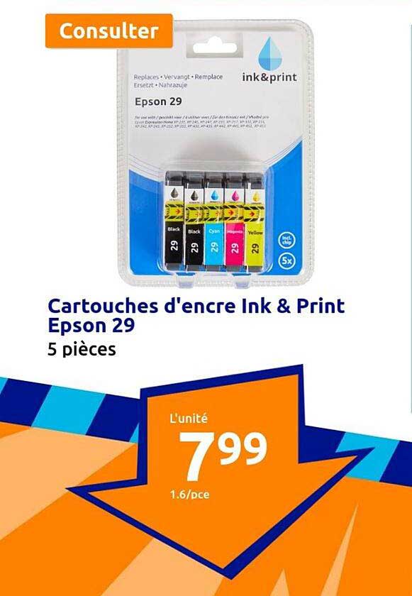 cartouches d'encre ink & print epson 29