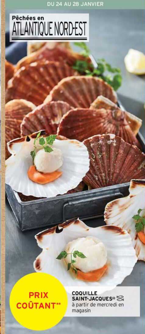 coquille saint-jacques