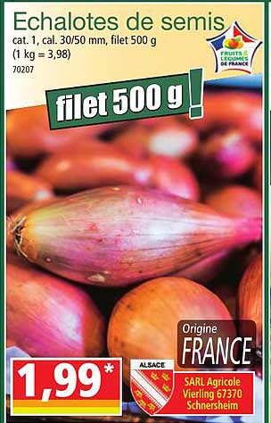 échalotes de semis