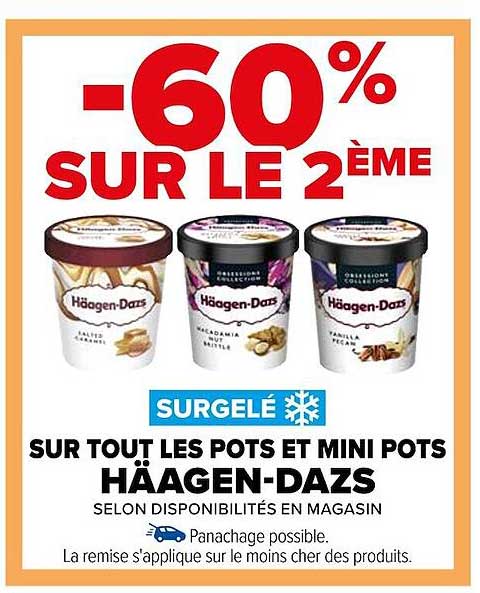 les pots et mini pots häagen-dazs
