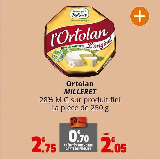 Ortolan Milleret