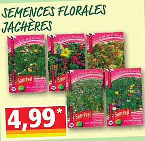 semences florales jachères