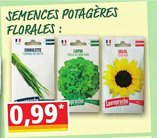 semences potagères florales