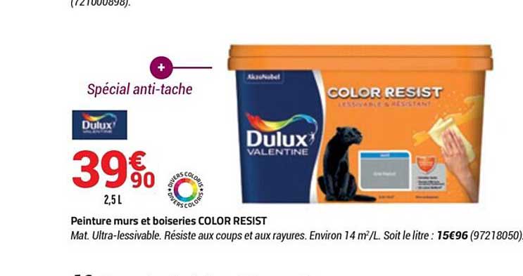 peinture murs et boiseries color resist