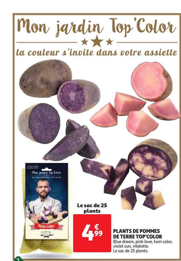 plants de pommes de terre top'color