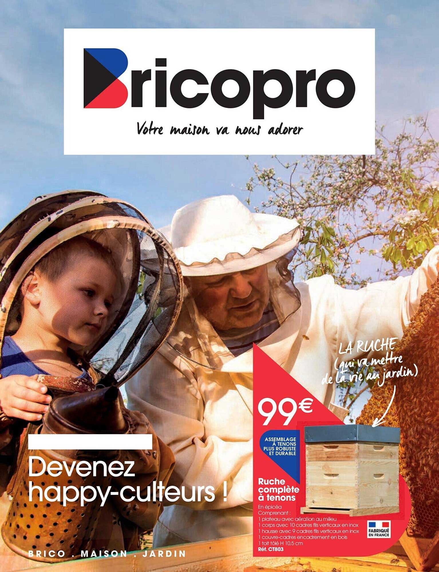 ruche complète à tenons