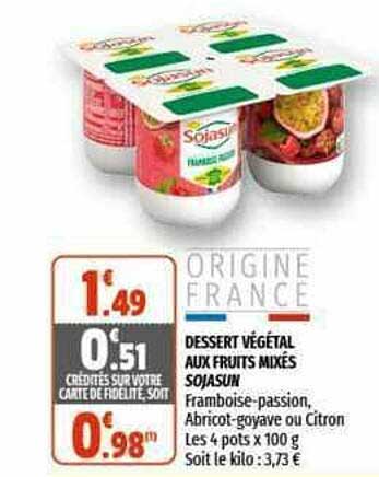 Dessert Végétal Aux Fruits Mixés Sojasun