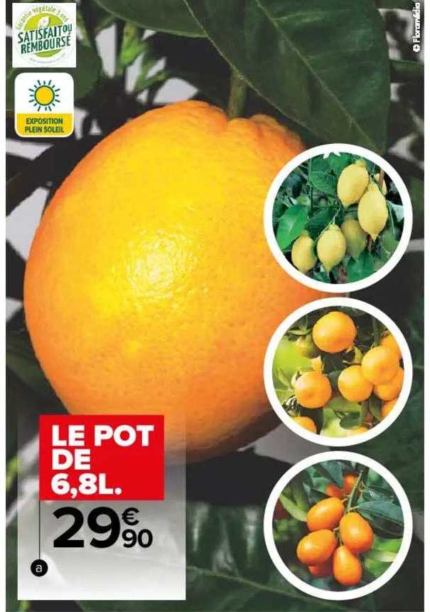 Le Pot De 6,8l