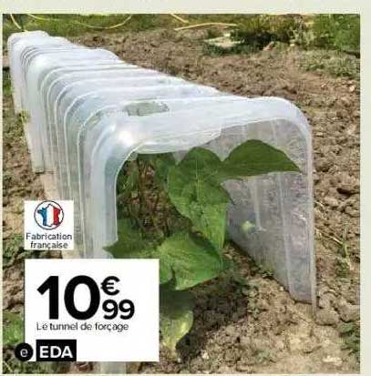 Le Tunnel De Forçage Eda