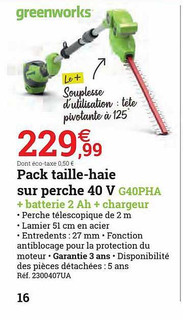 pack taille-haie sur perche 40 v