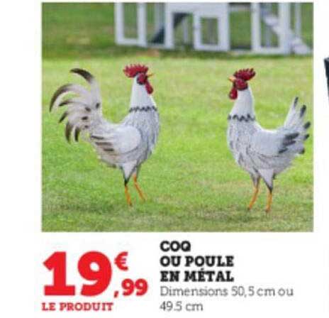 Coq Ou Poule En Métal