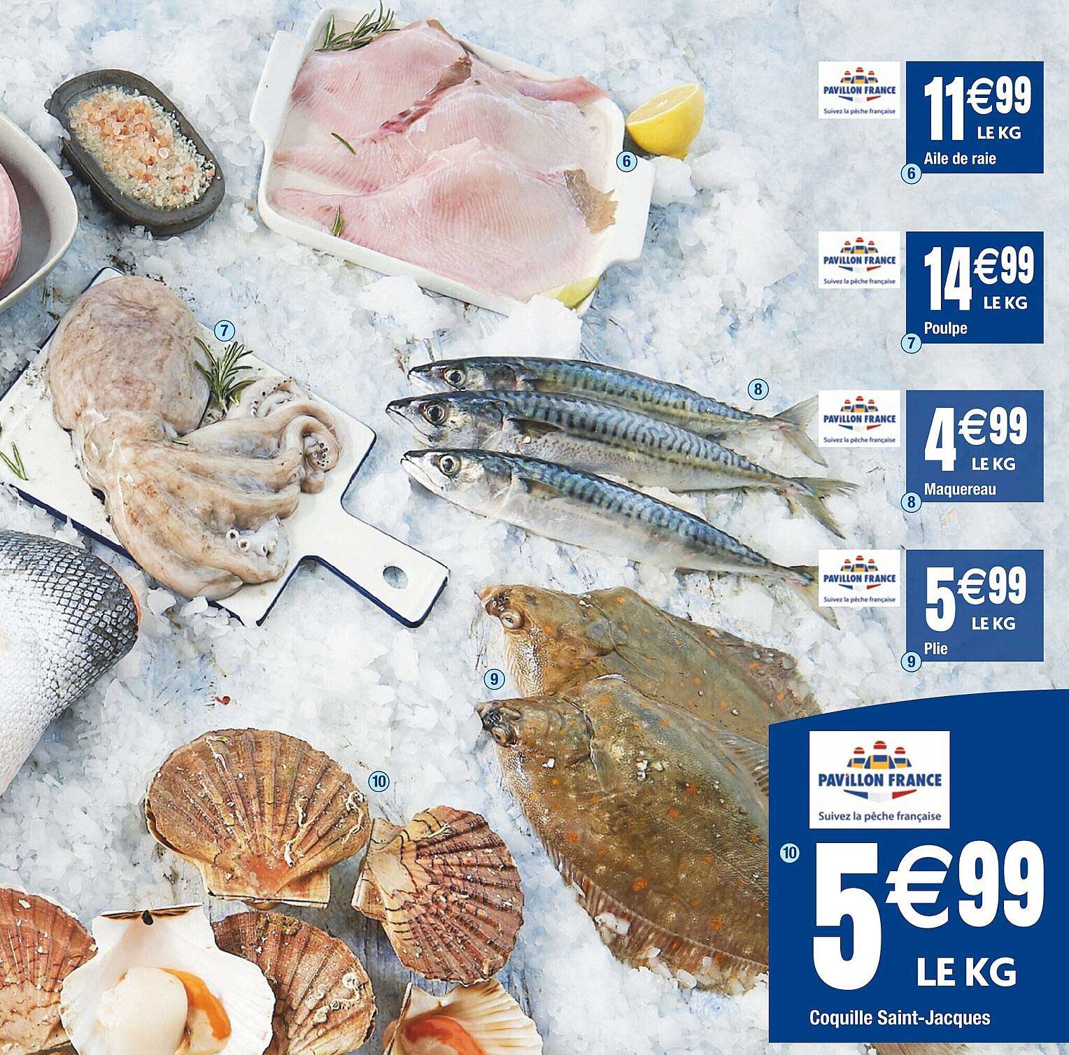 coquille saint-jacques