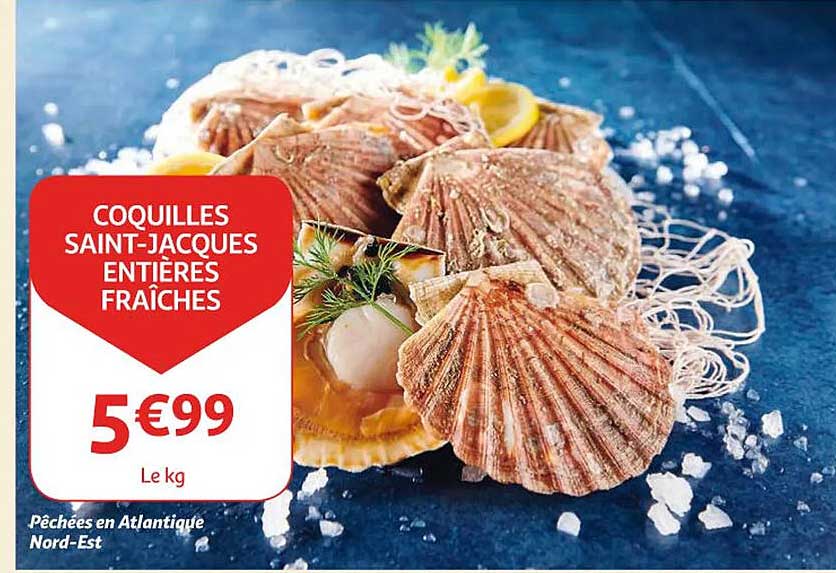 coquilles saint-jacques entières fraîches