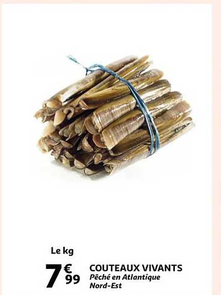 couteau vivants