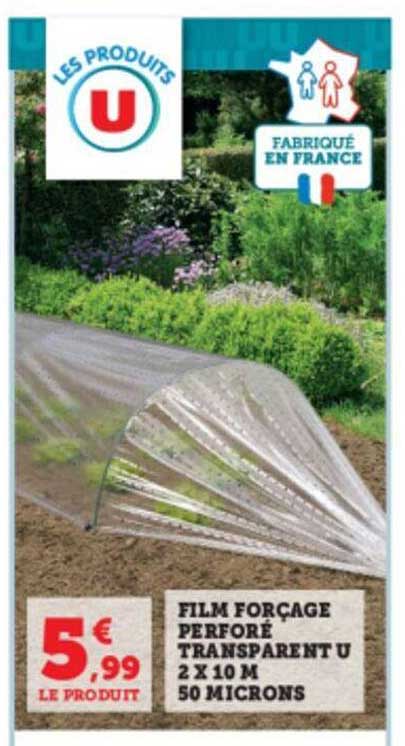 film forçage perforé transparent u