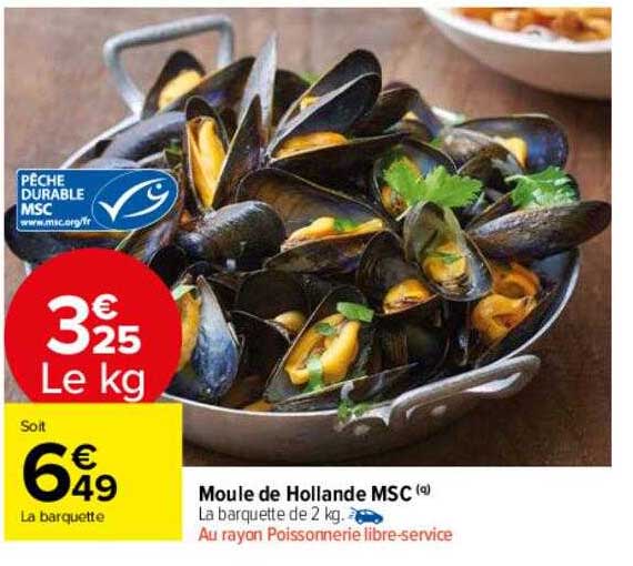 Moule De Holland Msc