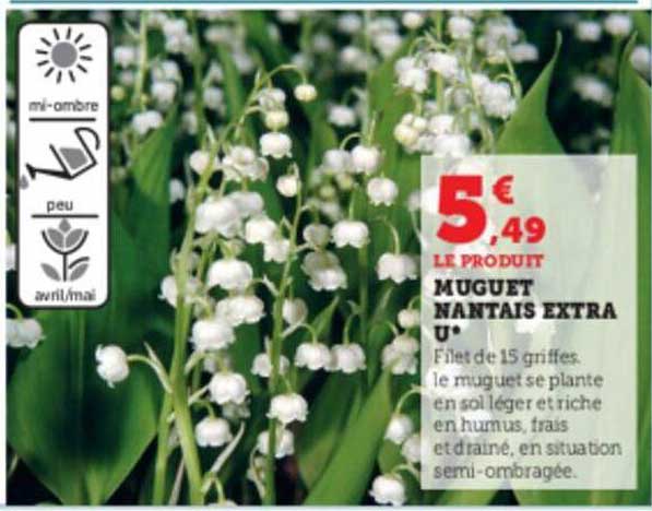 muguet nantais extra u
