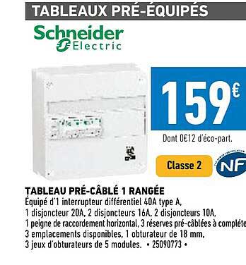 tableau pré-câblé 1 rangée schneider electric