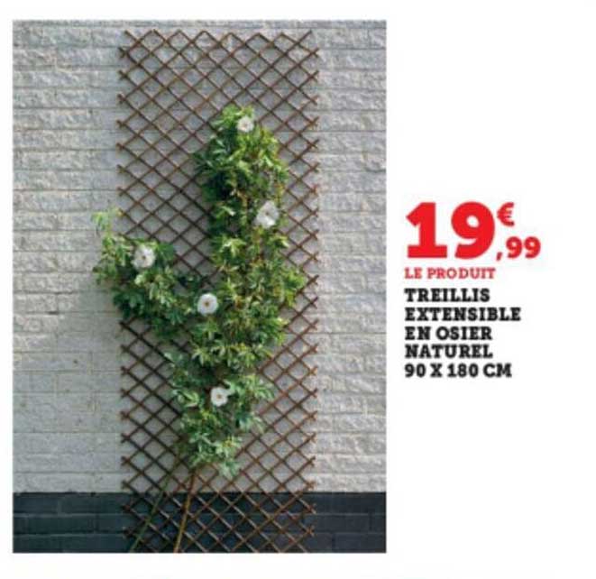 Treillis Extensible En Osier Naturel