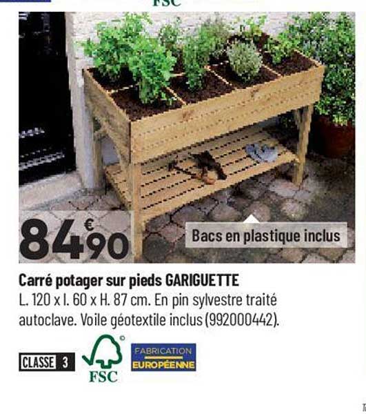 carré potager sur pieds gariguette