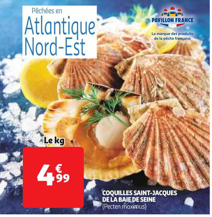coquilles saint-jacques de la baie de seine