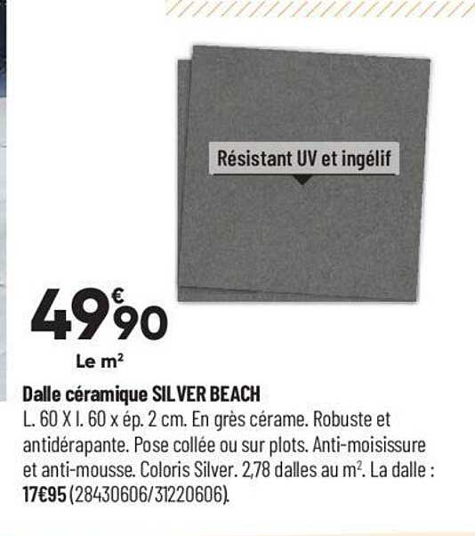 dalle céramique silver beach