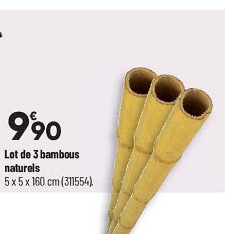 lot de 3 bambous naturels