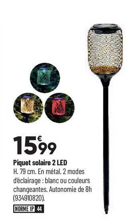 Piquet Solaire 2 Led