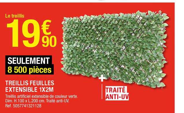Treillis Feuilles Extensible 1 X 2 M