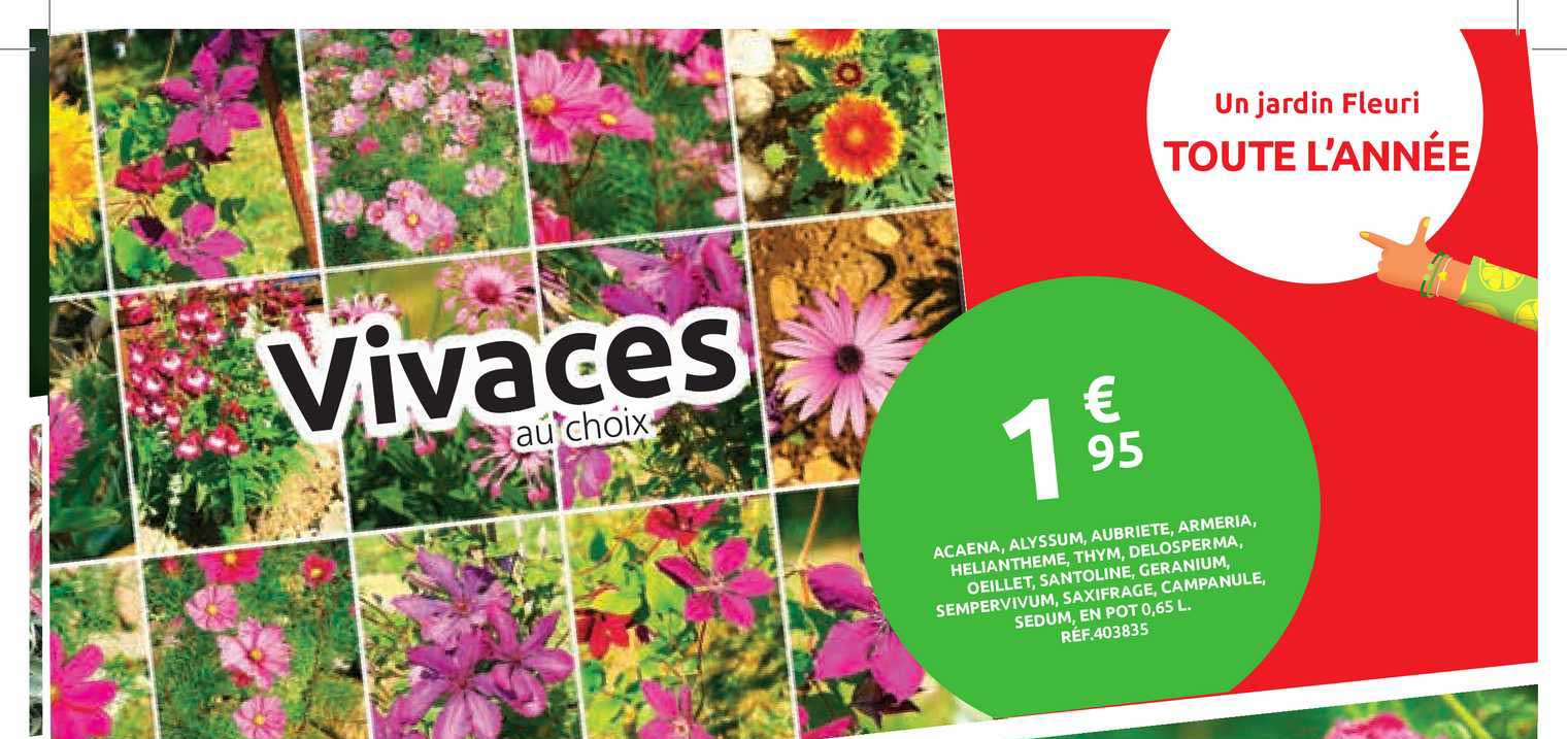 un jardin fleuri toute l'année