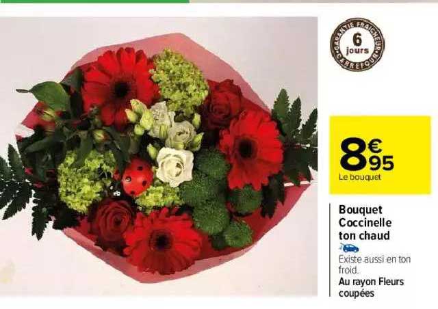 bouquet coccinelle ton chaud