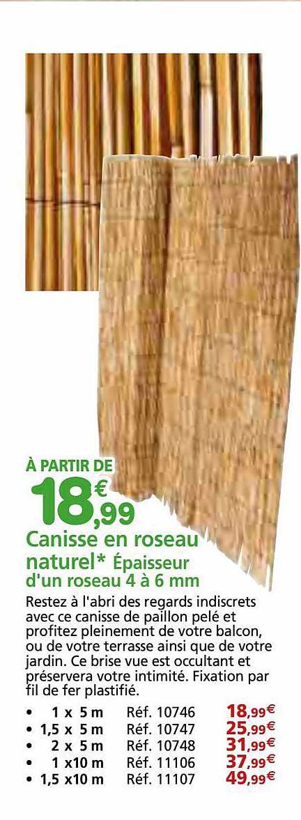 Canisse En Roseau Naturel