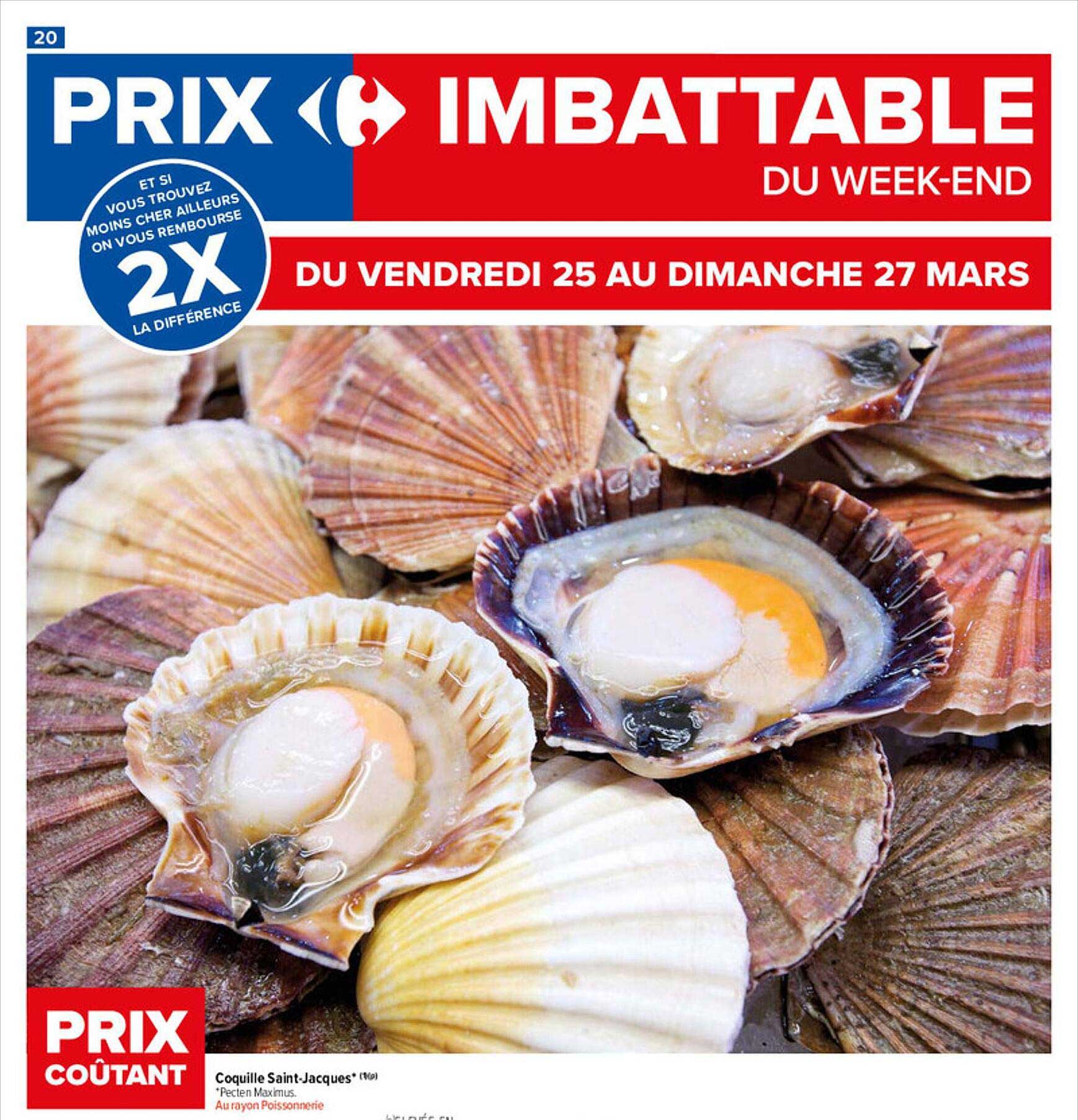Coquille Saint-jacques