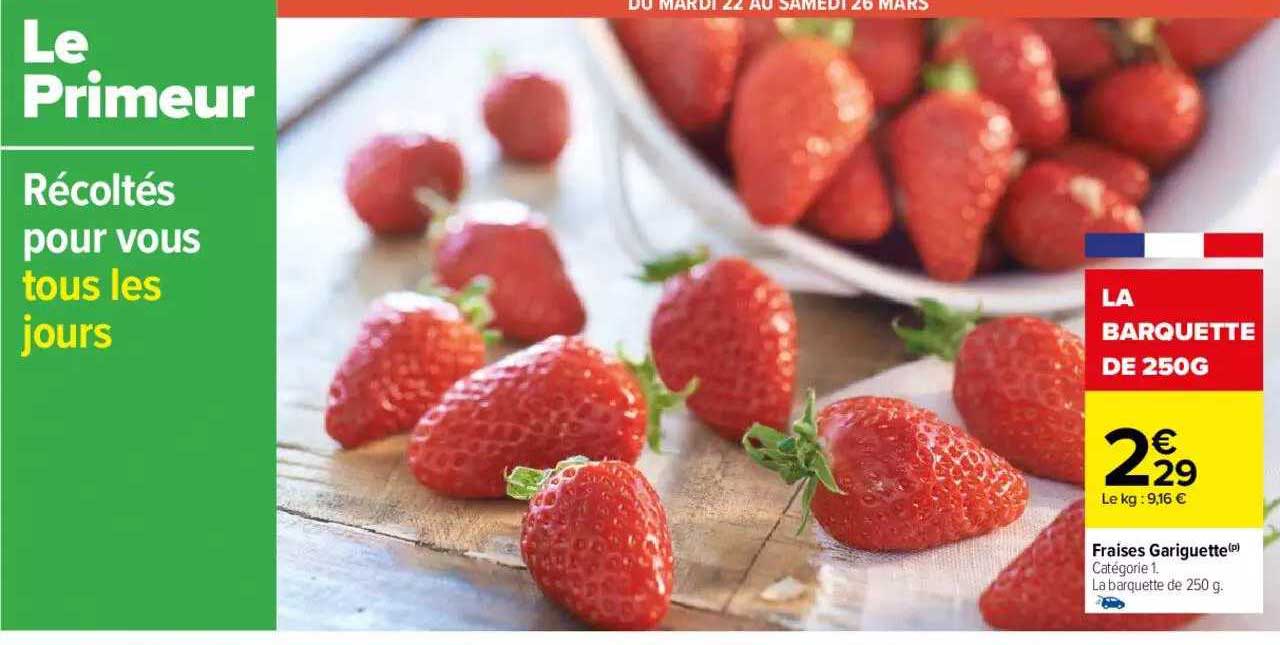 fraises gariguette