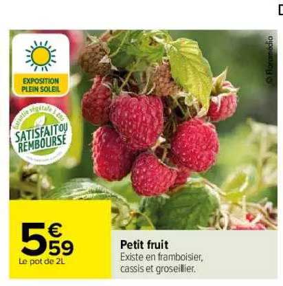 Petit Fruit