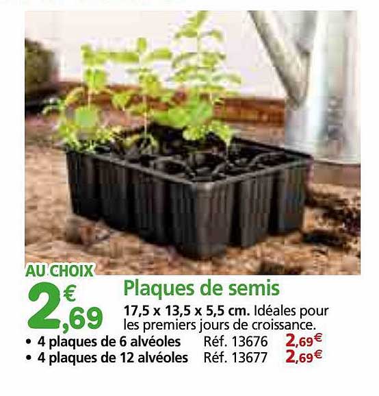 Plaques De Semis