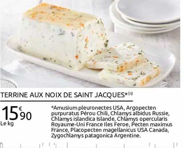 terrine aux noix de saint jacques