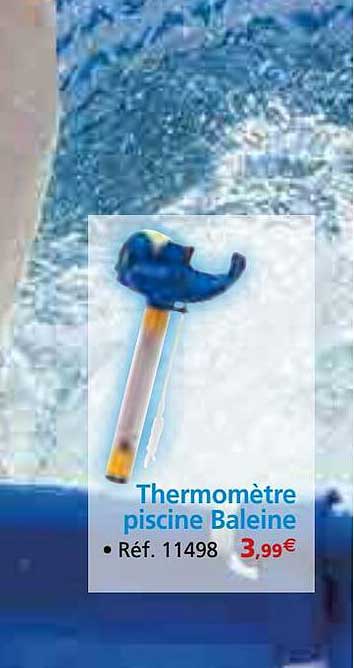 Thermomètre Piscine Baleine