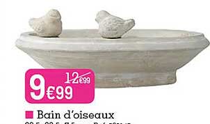 bain d'oiseaux