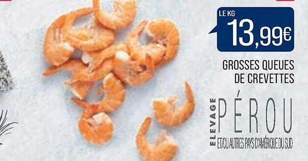 Grosses Queues De Crevettes
