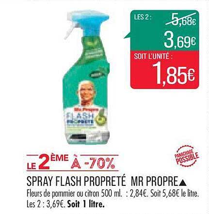 spray flash propreté mr propre