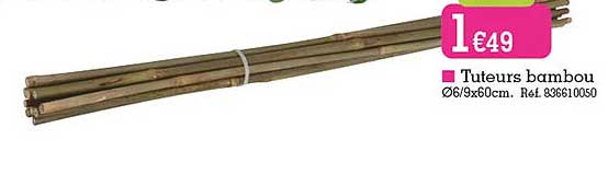 tuteurs bambou