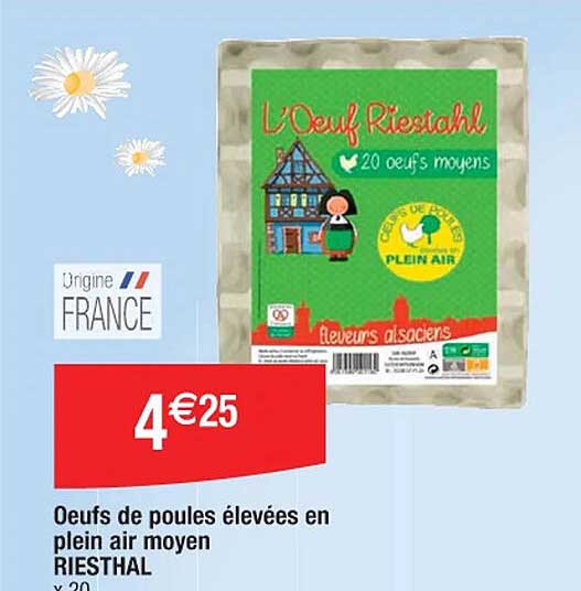 œufs de poule élevées en plein air moyen riesthal