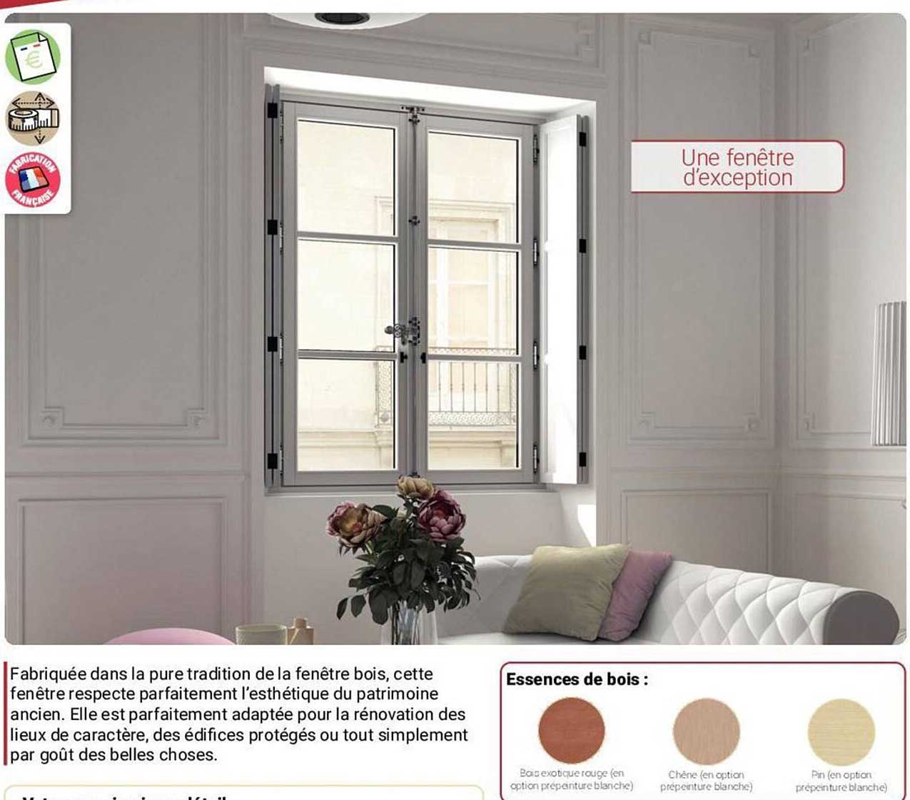 une fenêtre d'exception