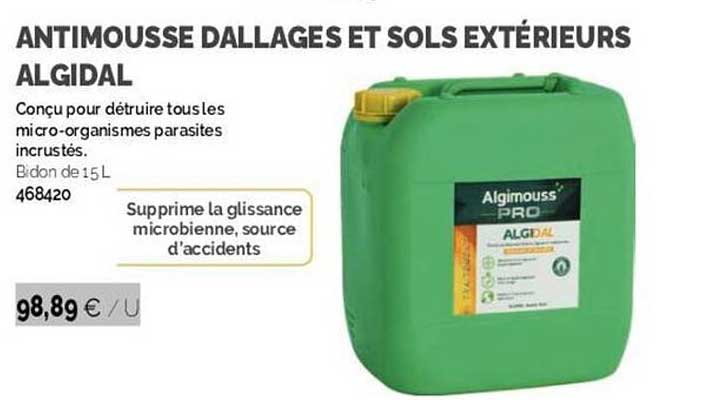 Antimousse Dallages Et Sols Extérieurs Algidal
