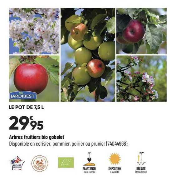 arbres fruitiers bio gobelet jardibest