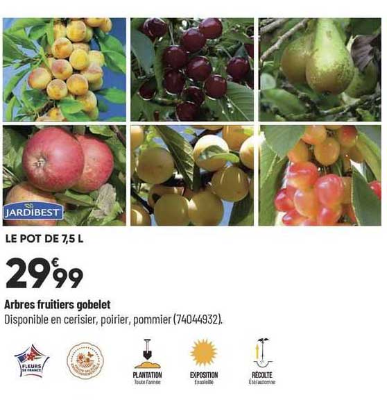 arbres fruitiers gobelet jardibest