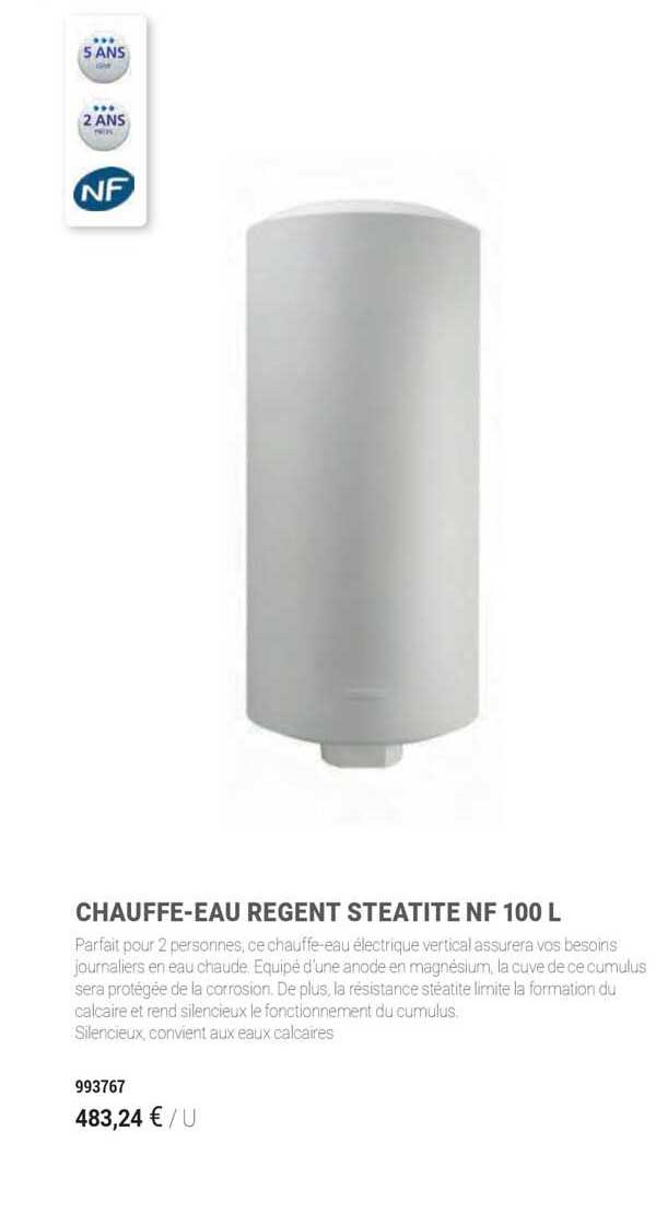 chauffe-eau regent steatite nf 100 l